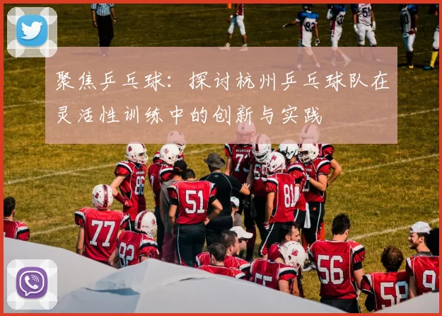 聚焦乒乓球：探讨杭州乒乓球队在灵活性训练中的创新与实践