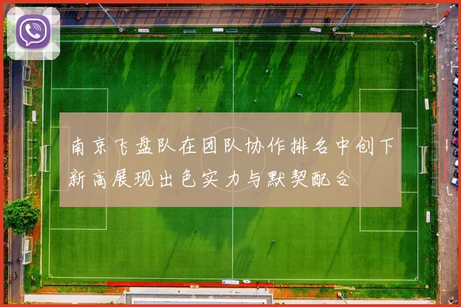南京飞盘队在团队协作排名中创下新高展现出色实力与默契配合