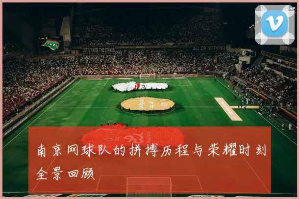 南京网球队的拼搏历程与荣耀时刻全景回顾