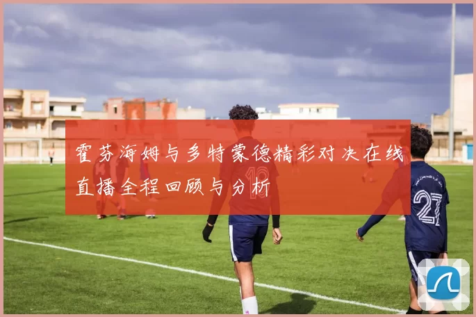 霍芬海姆与多特蒙德精彩对决在线直播全程回顾与分析
