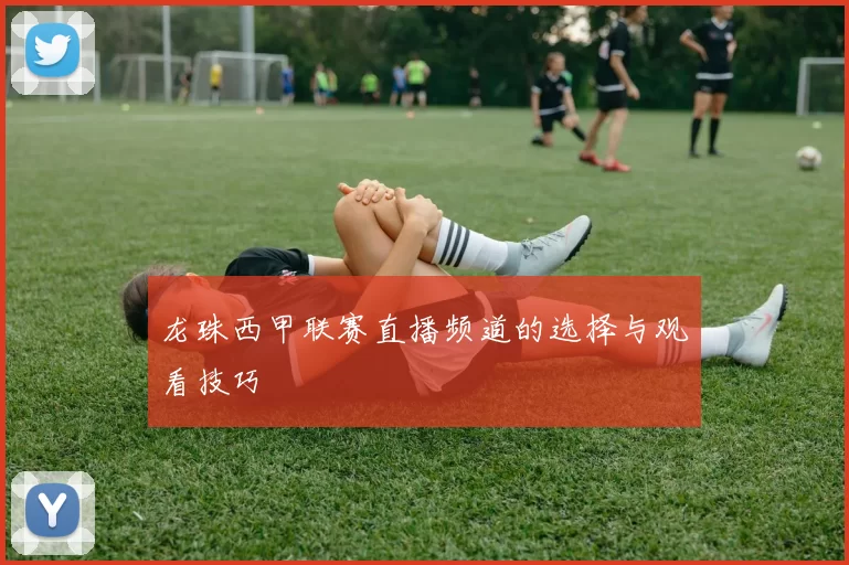 龙珠西甲联赛直播频道的选择与观看技巧