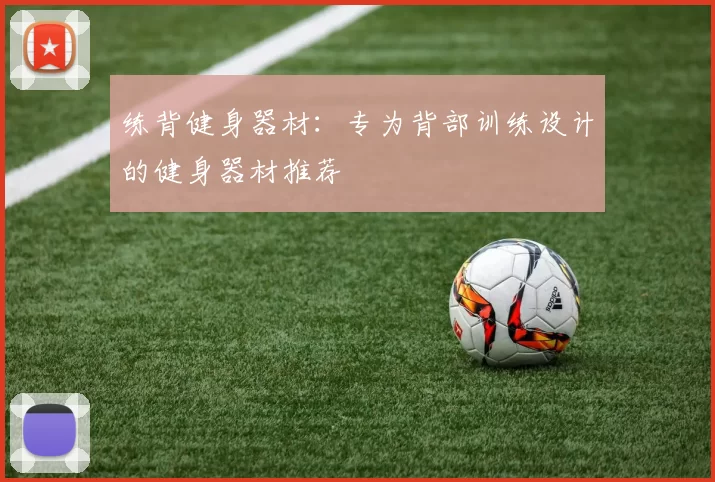 练背健身器材：专为背部训练设计的健身器材推荐