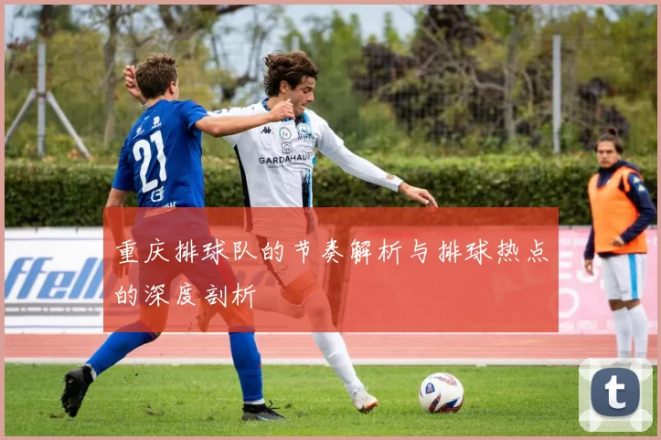 重庆排球队的节奏解析与排球热点的深度剖析