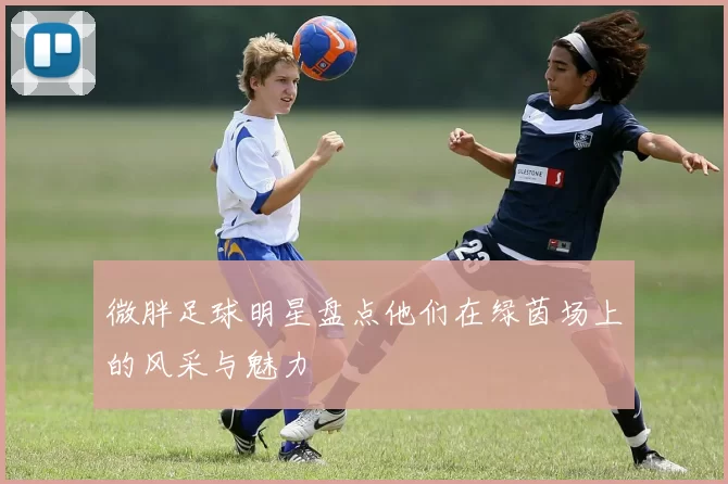 微胖足球明星盘点他们在绿茵场上的风采与魅力