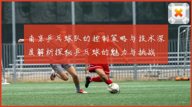 南京乒乓球队的控制策略与技术深度解析探秘乒乓球的魅力与挑战