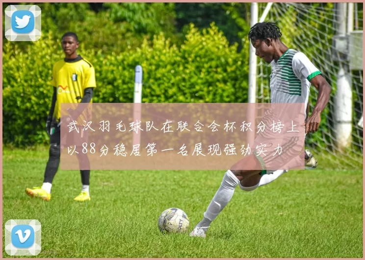 武汉羽毛球队在联合会杯积分榜上以88分稳居第一名展现强劲实力