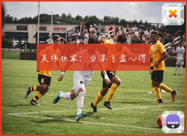 吴伟独家：分享飞盘心得