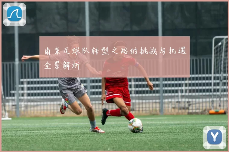 南京足球队转型之路的挑战与机遇全景解析