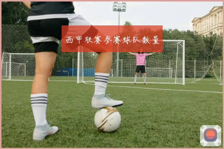 西甲联赛参赛球队数量