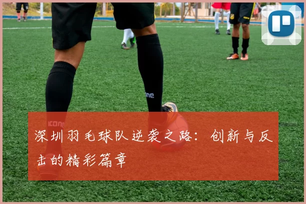 深圳羽毛球队逆袭之路：创新与反击的精彩篇章