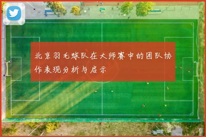 北京羽毛球队在大师赛中的团队协作表现分析与启示