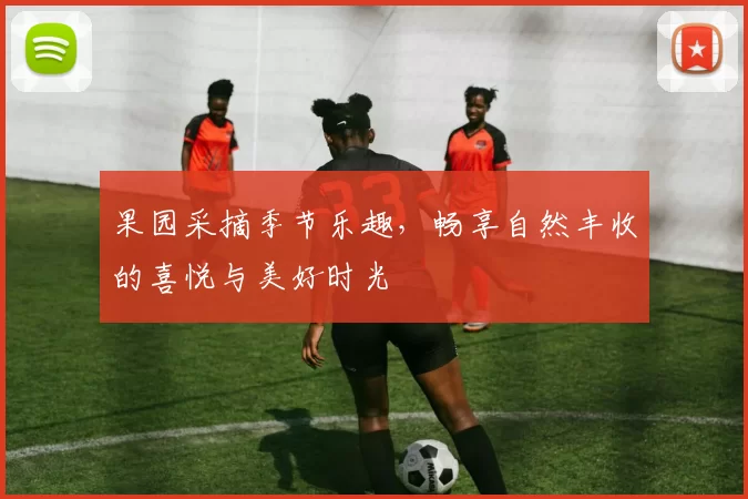 果园采摘季节乐趣，畅享自然丰收的喜悦与美好时光
