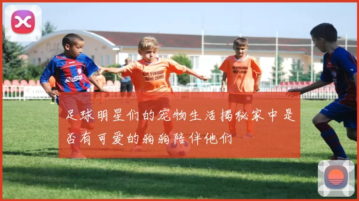 足球明星们的宠物生活揭秘家中是否有可爱的狗狗陪伴他们