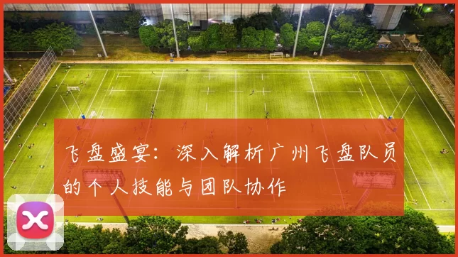 飞盘盛宴：深入解析广州飞盘队员的个人技能与团队协作
