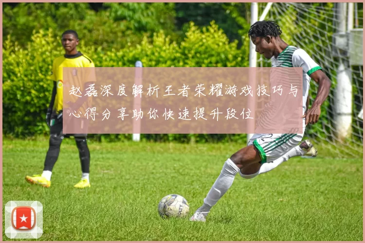 赵磊深度解析王者荣耀游戏技巧与心得分享助你快速提升段位