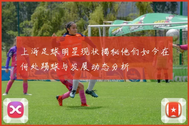 上海足球明星现状揭秘他们如今在何处踢球与发展动态分析