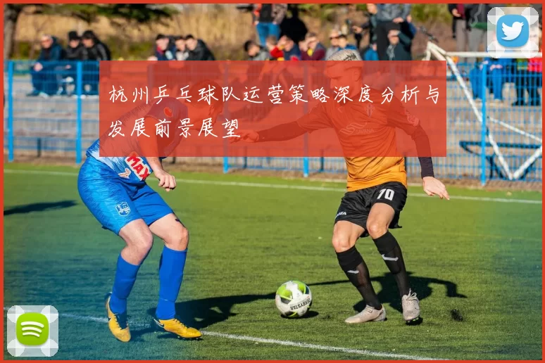 杭州乒乓球队运营策略深度分析与发展前景展望