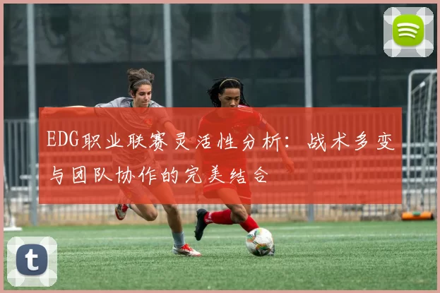 EDG职业联赛灵活性分析：战术多变与团队协作的完美结合