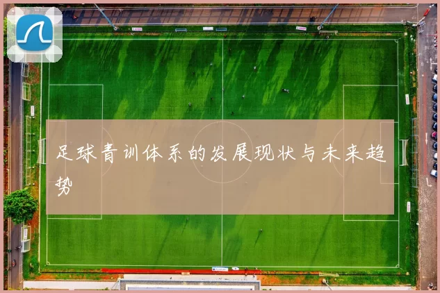 足球青训体系的发展现状与未来趋势