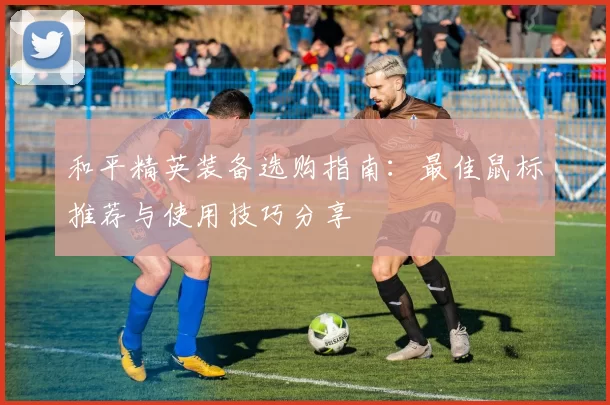 和平精英装备选购指南：最佳鼠标推荐与使用技巧分享