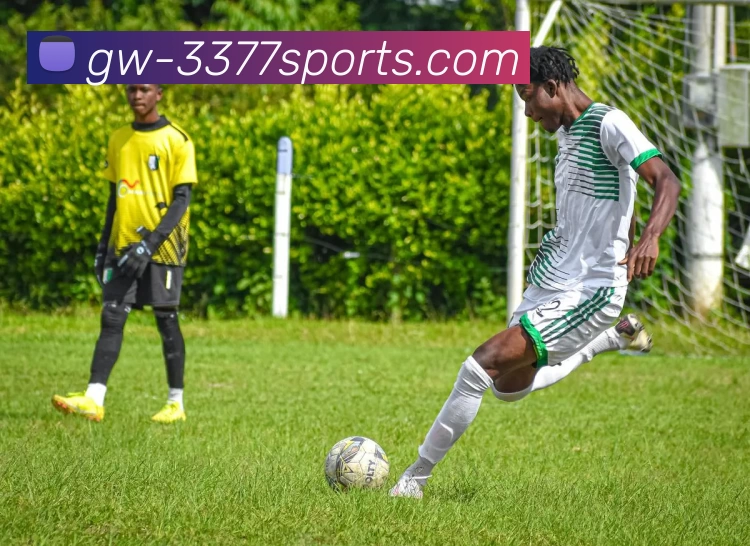 333体育APP 封面图